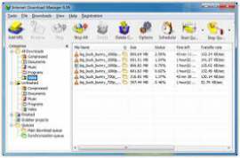 Internet Download Manager IDM 6