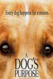 A Dogs Purpose 2017