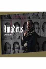 Nt Live: Amadeus 2017