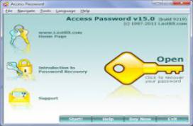 Password Viewer