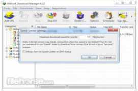 Internet Download Manager IDM 6